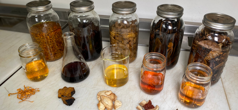 Alcohol extractions of mushrooms