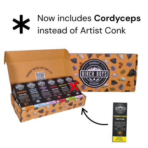 Birch Boys Mushroom Tincture Bundle box with six mushroom tinctures. Text reads "Now includes Cordyceps instead of Artist Conk"