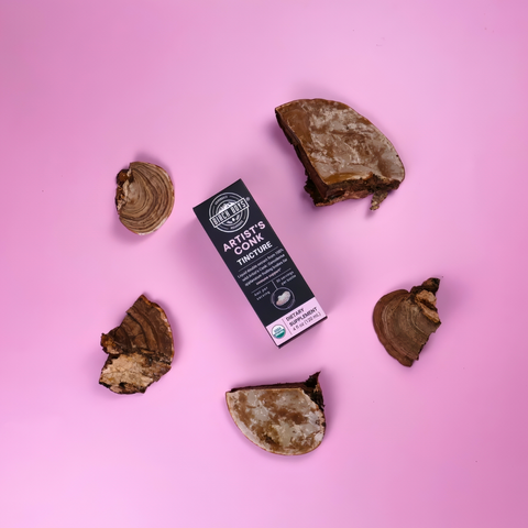 Artist's Conk Tincture next to artist conk mushroom chunks on a pink background