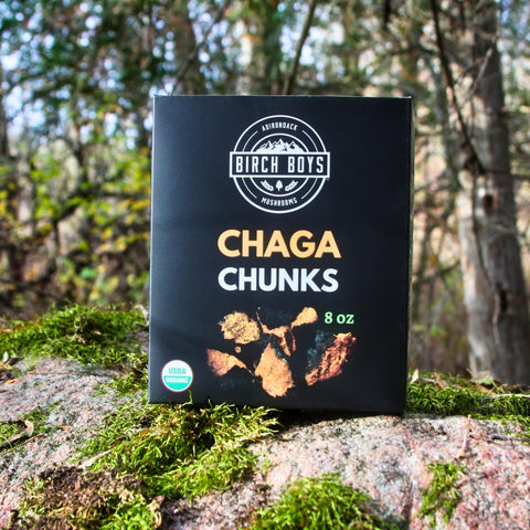 Box of Chaga Chunks by Birch Boys on a forest background
