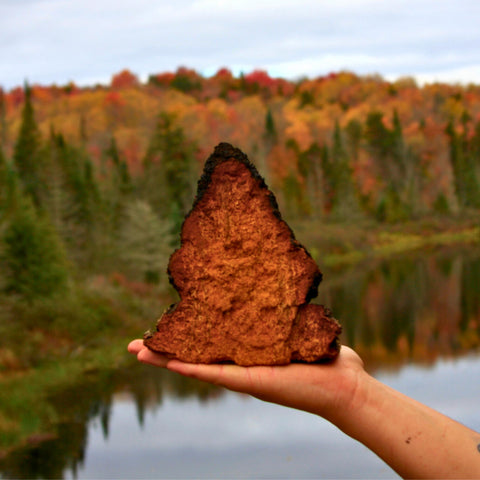 A conk of chaga resting on a hand overlooking a fall river