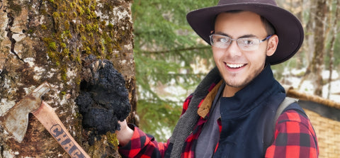 Sustainable Chaga Harvester with Birch Tree and Axe