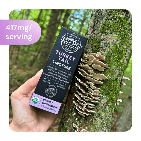 Turkey Tail Tincture on a woodland backround and turkey tail mushrooms with a white border. 417mg/serving.