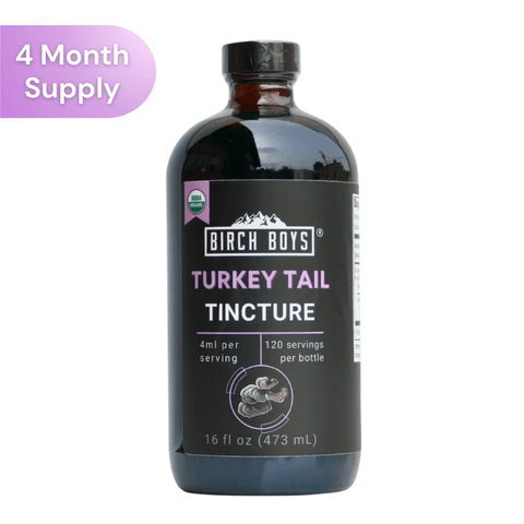 16oz Turkey Tail Tincture on  a white background. 4 month supply.