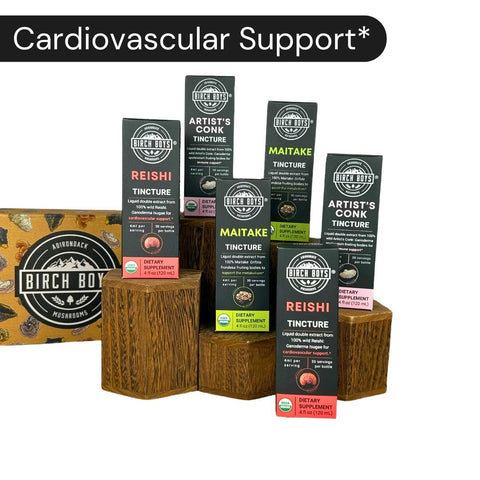 Custom Mushroom Tincture Bundle - Birch Boys, Inc.Custom Mushroom Tincture Bundle