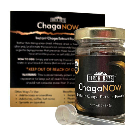 ChagaNOW: Instant Chaga Extract Powder - Chaga Tea - Birch Boys, Inc.