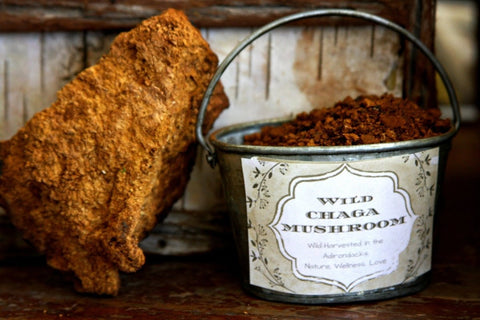 Chaga Tea Bags - Chaga Tea - Birch Boys