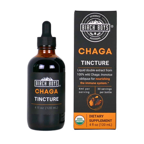 Chaga Tincture - Tinctures 4oz Birch Boys double extract wild chaga tincture organic