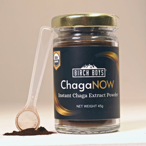 ChagaNOW: Instant Chaga Extract Powder - Chaga Tea - Birch Boys, Inc.