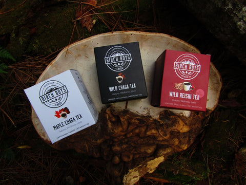 Fungal Tea Bundle -  - Birch Boys