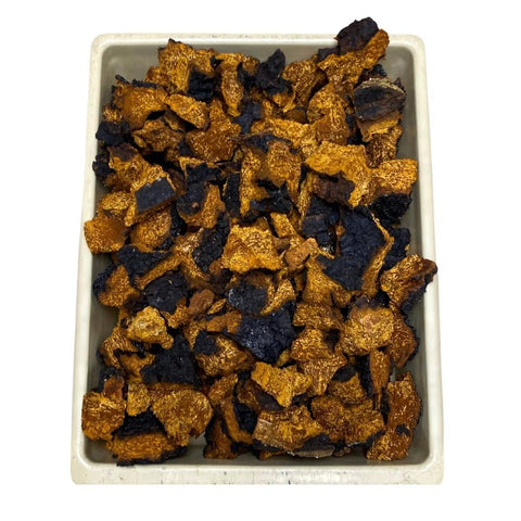 Bulk Chaga, Chunks or Ground - Bulk Mushrooms - Birch Boys