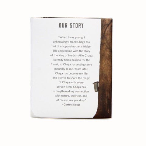 Maple Chaga Tea Bags - Chaga Tea - Birch Boys