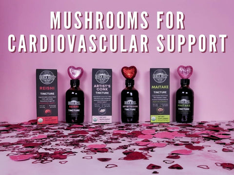 Mushrooms for Cardiovascular Support - Birch Boys, Inc.