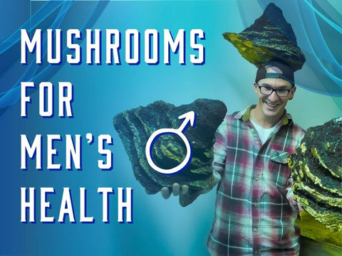 Mushrooms for Men's Health - Birch Boys, Inc.