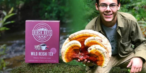 Reishi Mushroom - History and Benefits of "The Mushroom of Immortality” - Birch Boys, Inc.