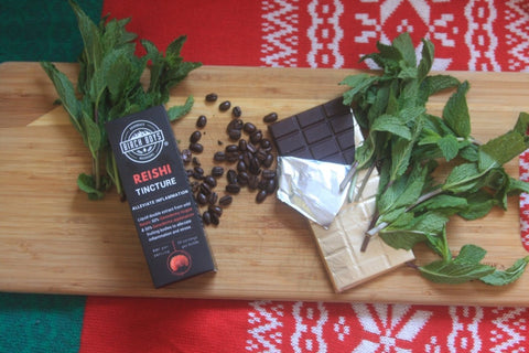 Reishi Peppermint Mocha (or Hot Chocolate) Recipe - Birch Boys, Inc.