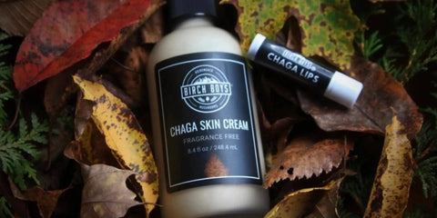 The Best Chaga Products for the Hair, Nails, Skin - Birch Boys, Inc.