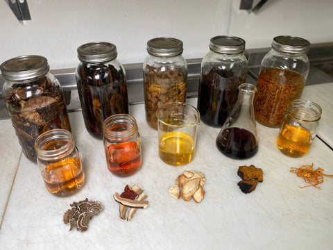 Why We Use Alcohol In Our Mushroom Tinctures | Birch Boys