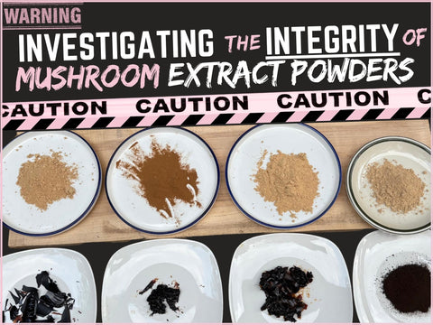 Text reads, "Investigating the Integrity of Mushroom Extract Powders." Image is of various extract powders in comparison 