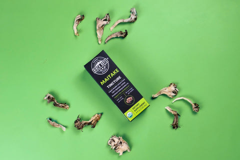 Maitake mushroom tincture with dried maitake mushrooms on a green background