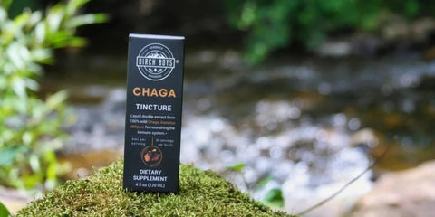 Chaga Tincture: Product Highlight and FAQ