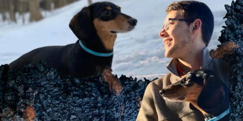 This Diet Stopped our Dachshund’s Mast Cell Tumor in its Tracks