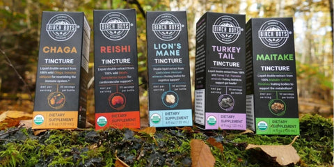 Birch Boys Double Extract Mushroom Tinctures - Reishi, Chaga, Lion's Mane, Maitake, Turkey Tail