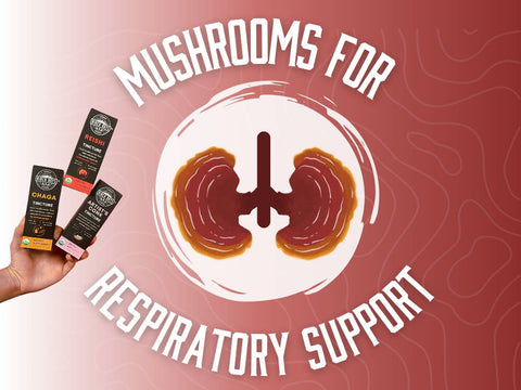 3 Mushrooms for Respiratory Health