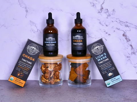 Benefits of Taking Lion's Mane and Chaga Together
