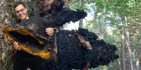 A Short History Of Chaga