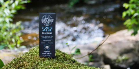 Lion's Mane Tincture: Product Highlight and FAQ