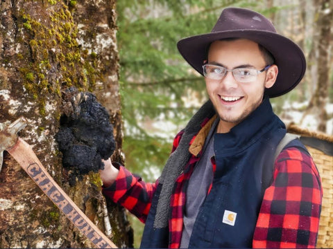 10 Misconceptions about Chaga