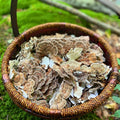 turkey tail basket
