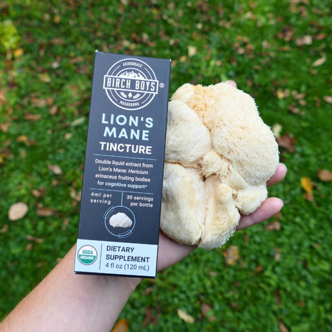 Lion's Mane Mushroom and Tincture