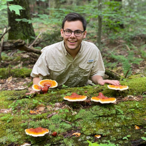 Garrett Kopp, expert mushroom harvester, with reishi mushrooms