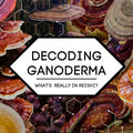 Decoding Ganoderma