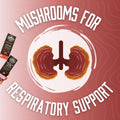 Mushrooms for Respiratory Support*
