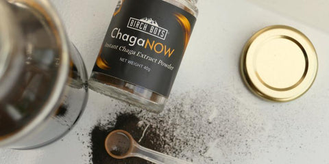 A bottle of Birch Boys ChagaNOW instant chaga extract powder with its gold lid placed beside it on a white surface, with some loose powder and a spoon scattered in front.