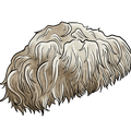 A stylized illustration of a shaggy, long-haired fluffy Lion's Mane mushroom in beige, cream, and brown tones on a plain white background.