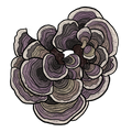 A stylized illustration of a cluster of Turkey Tail mushrooms with layered, scalloped edges in shades of purple, gray, brown, and off-white, outlined in black on a plain white background.