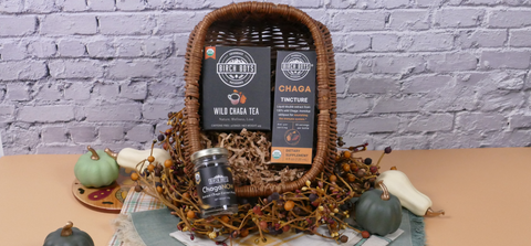 Chaga tea and chaga tincture in a fall basket with gourds