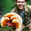 Reishi Mushroom