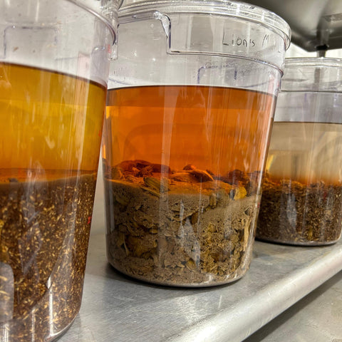 Clear containers full of mushroom alcohol extracts