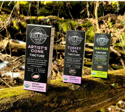 Three Birch Boys tincture boxes standing on a mossy log outdoors: Artist's Conk Tincture with purple accents, Turkey Tail Tincture with pink accents, and Maitake Tincture with green accents, against a blurred forest background.