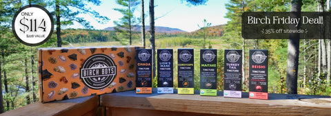 Birch Boys Mushroom Extract Bundle 35% Off Black Friday Deal