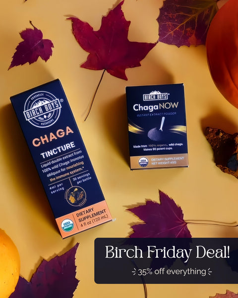 Two boxes of Birch Boys Chaga products on a yellow background with autumn leaves announcing birch friday deal