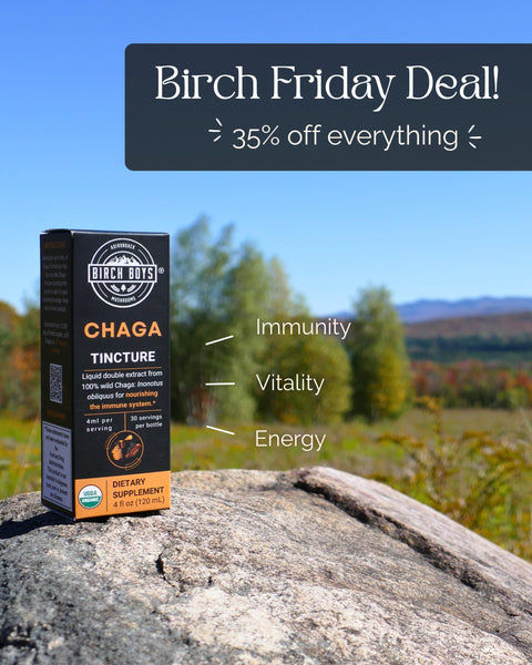 Box of Birch Boys Chaga Extract on a rock with a scenic background, announcing Black Friday Deals