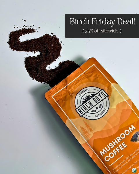 Birch Boys Mushroom Coffee package with coffee grounds on a light gray background, featuring a Birch Friday Deal banner.