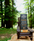 Birch Boys chaga tincture box on wooden chair outdoors