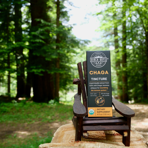 Birch Boys chaga tincture box on wooden chair outdoors